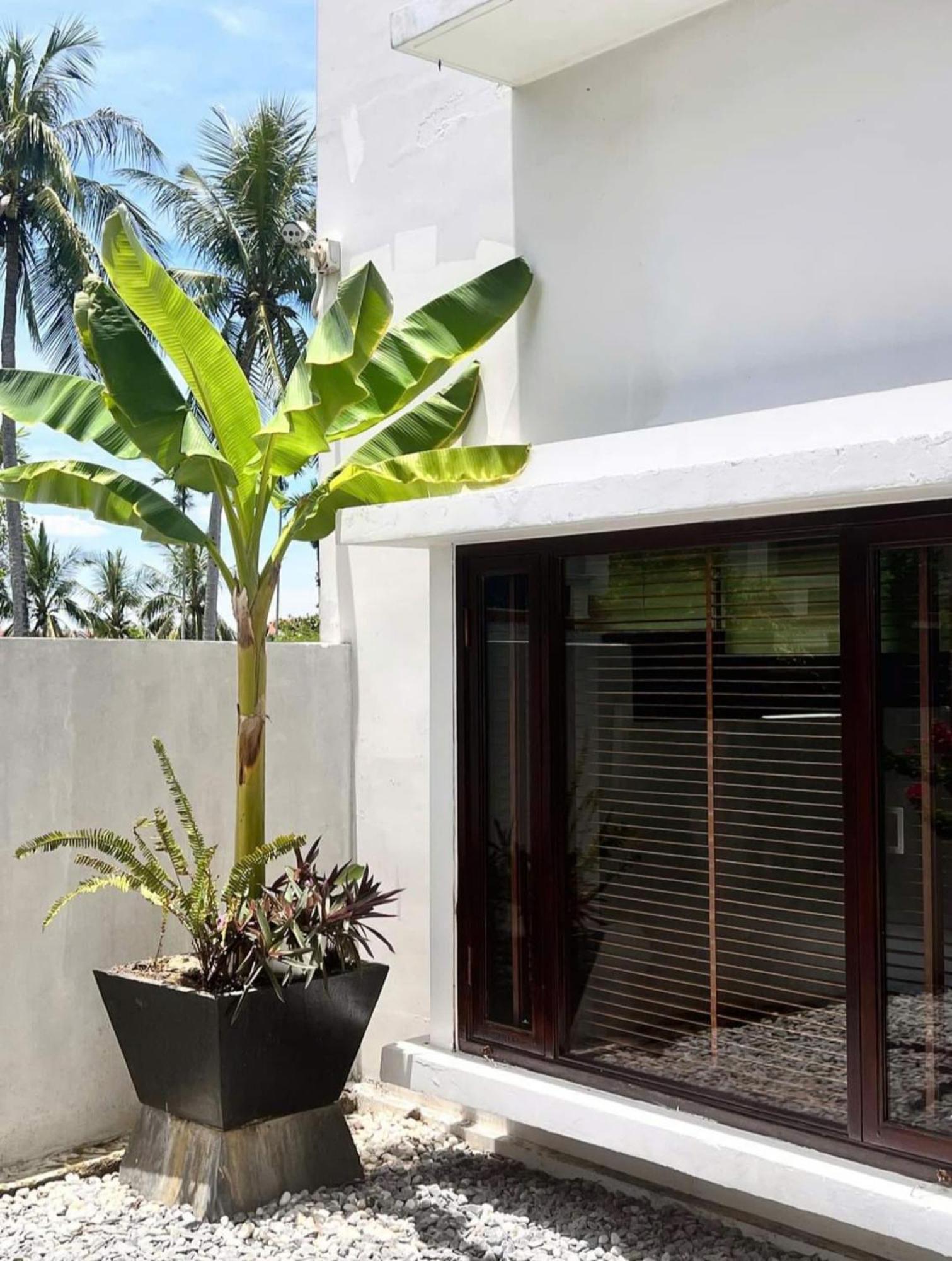 Happy Life Memories Hoi An Hotel & Spa Dış mekan fotoğraf